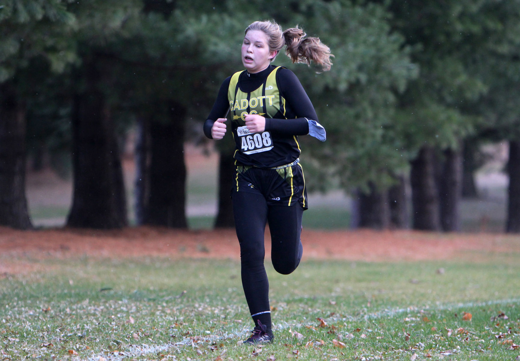 Division 3 Cross Country Sub-Sectional at Colfax 10-19-20